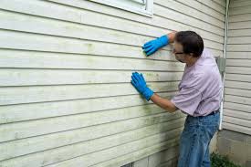 Best Custom Trim and Detailing for Siding  in Pinckneyvle, IL